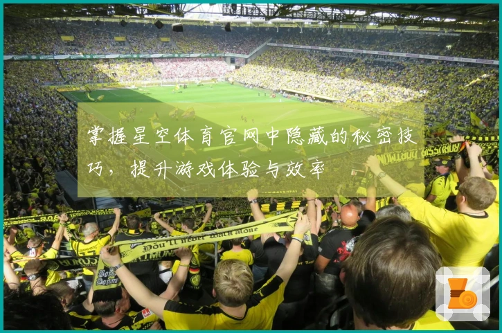 掌握星空体育官网中隐藏的秘密技巧，提升游戏体验与效率