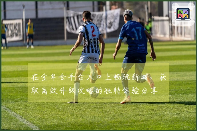 在金年会平台入口上畅玩新游，获取高效升级攻略的独特体验分享