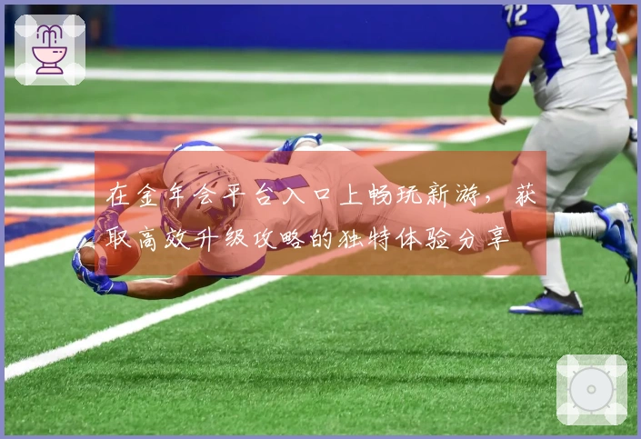 在金年会平台入口上畅玩新游，获取高效升级攻略的独特体验分享