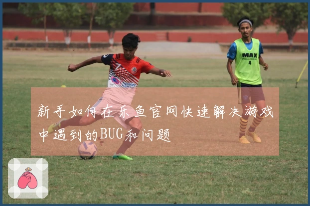 新手如何在乐鱼官网快速解决游戏中遇到的BUG和问题